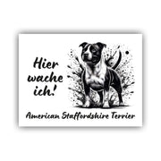 American Staffordshire Terrier Schild "002"