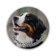 Berner Sennenhund Aufkleber "B003"