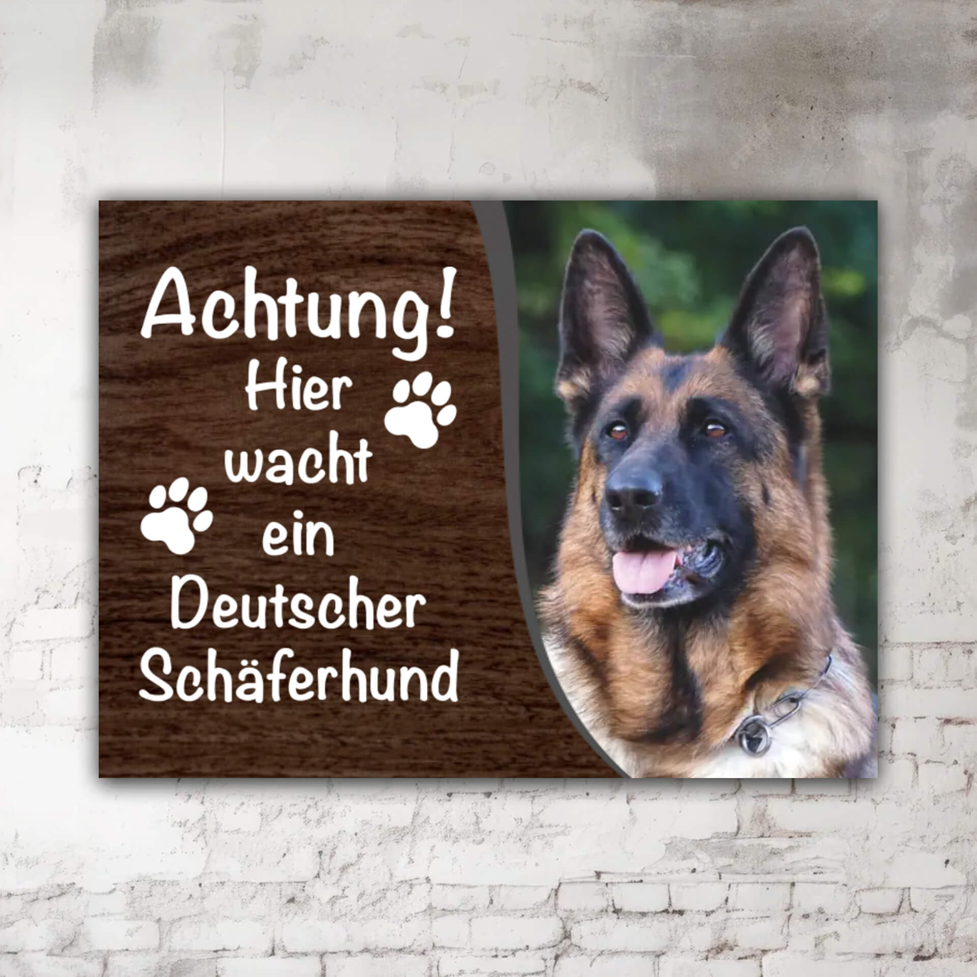 Deutscher Schäferhund Warnschild mit Foto Motiv P002
