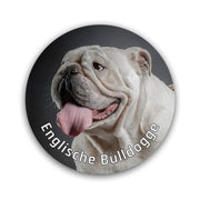 Englische Bulldogge Aufkleber "B001"