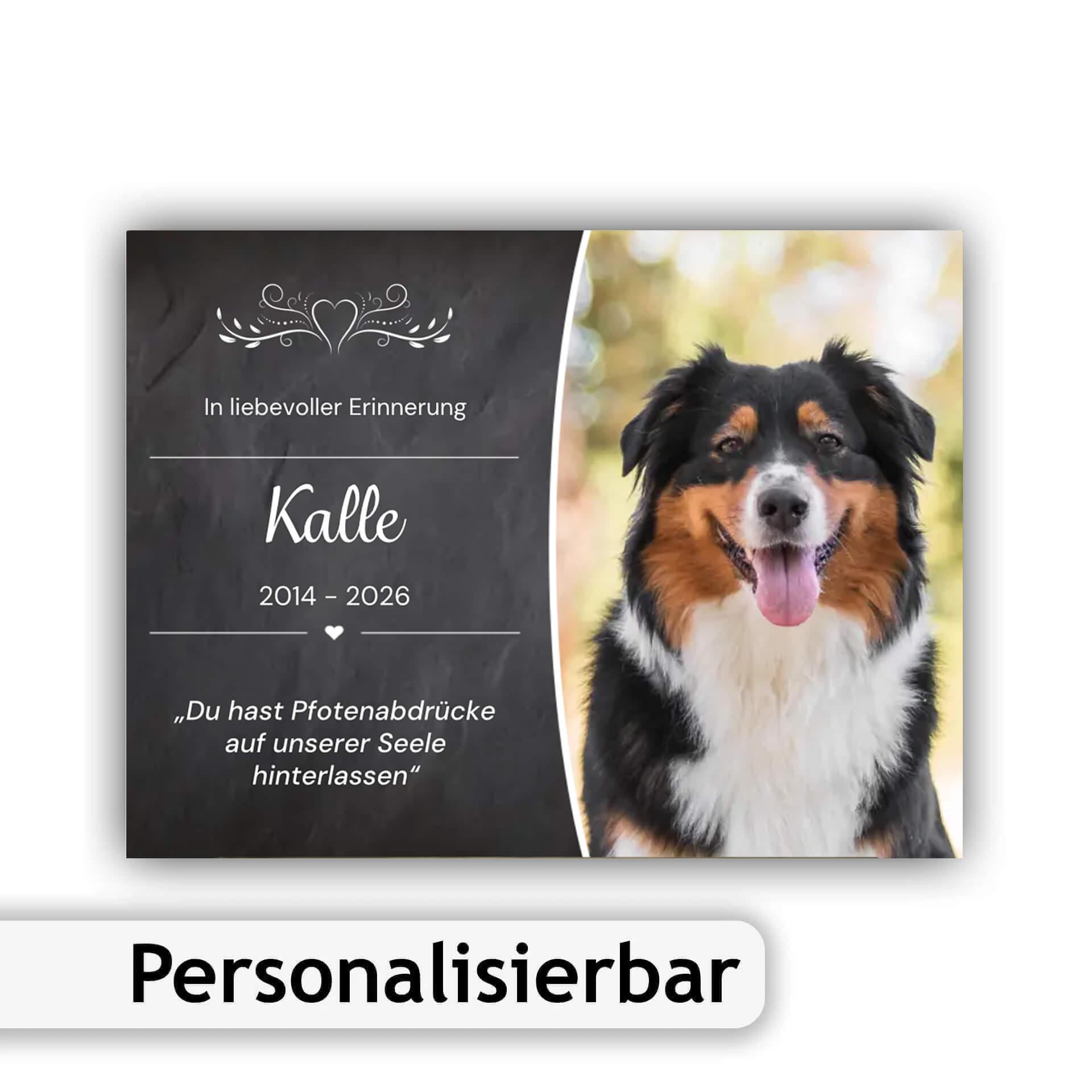 Erinnerungsschild Hund grosses Foto Wunschtext