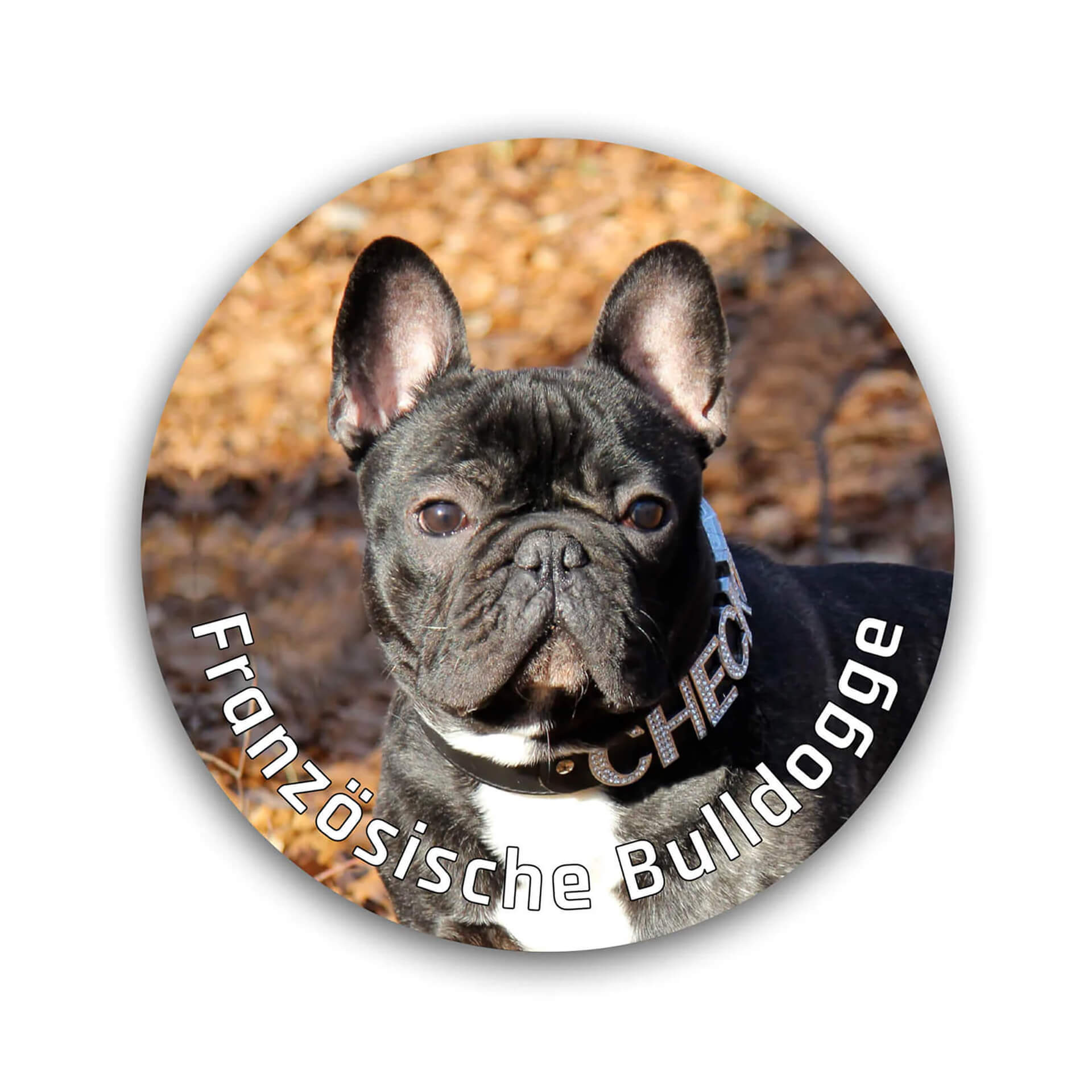 Französische Bulldogge Aufkleber "B001"