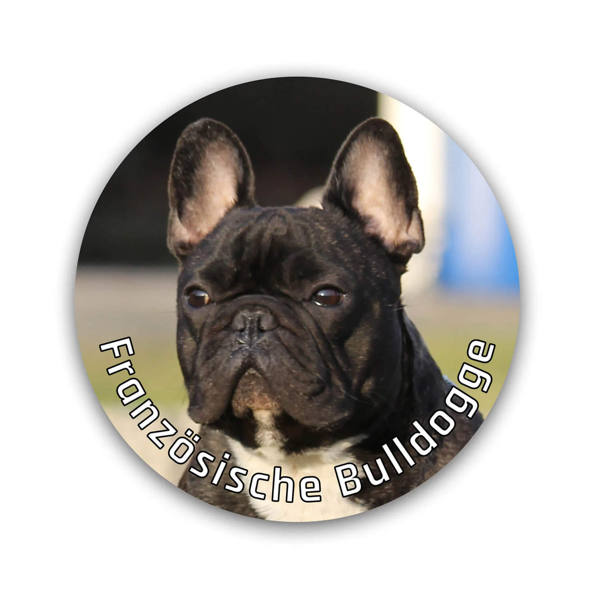 Französische Bulldogge Aufkleber "B002"
