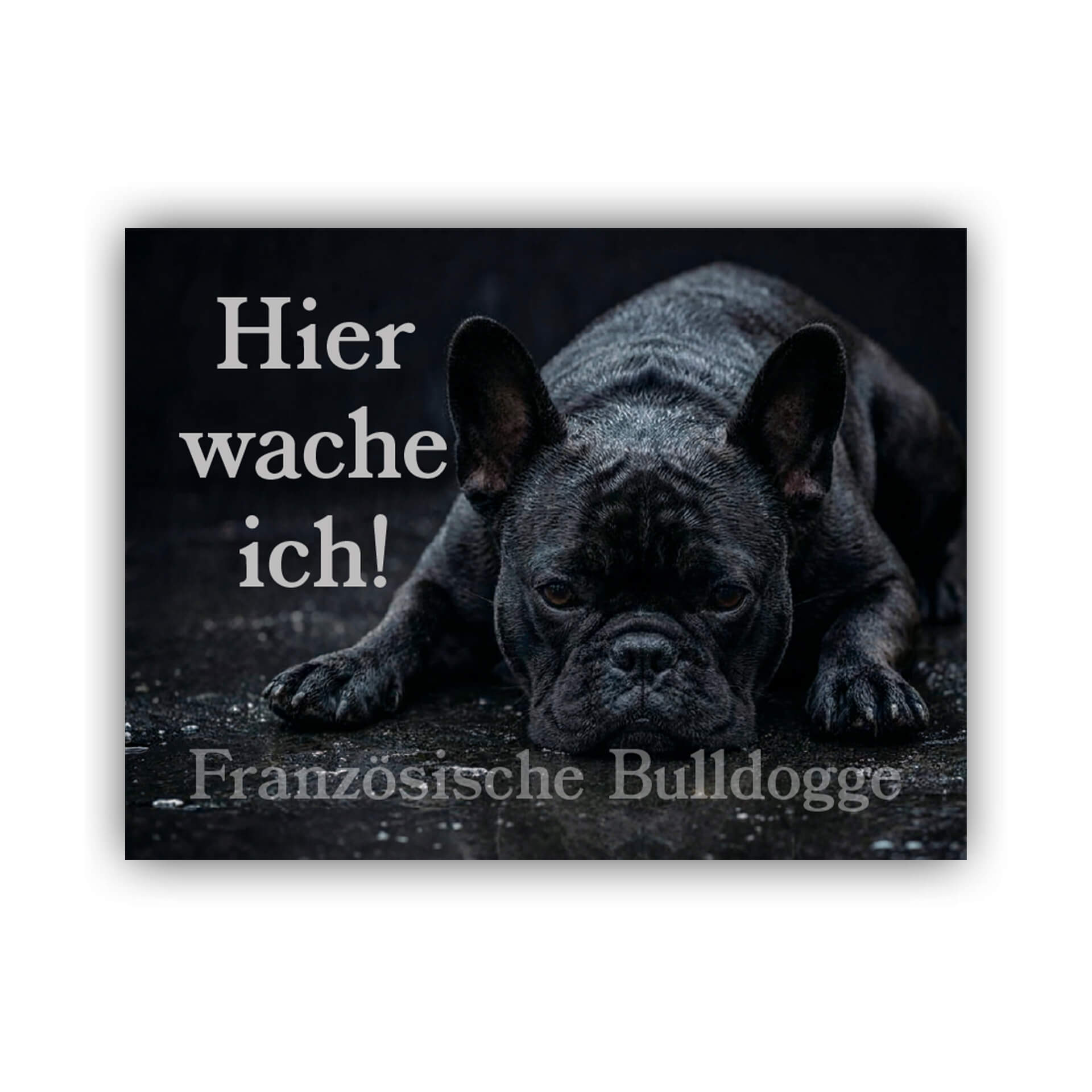 Französische Bulldogge Hier wache ich Warnschild 005