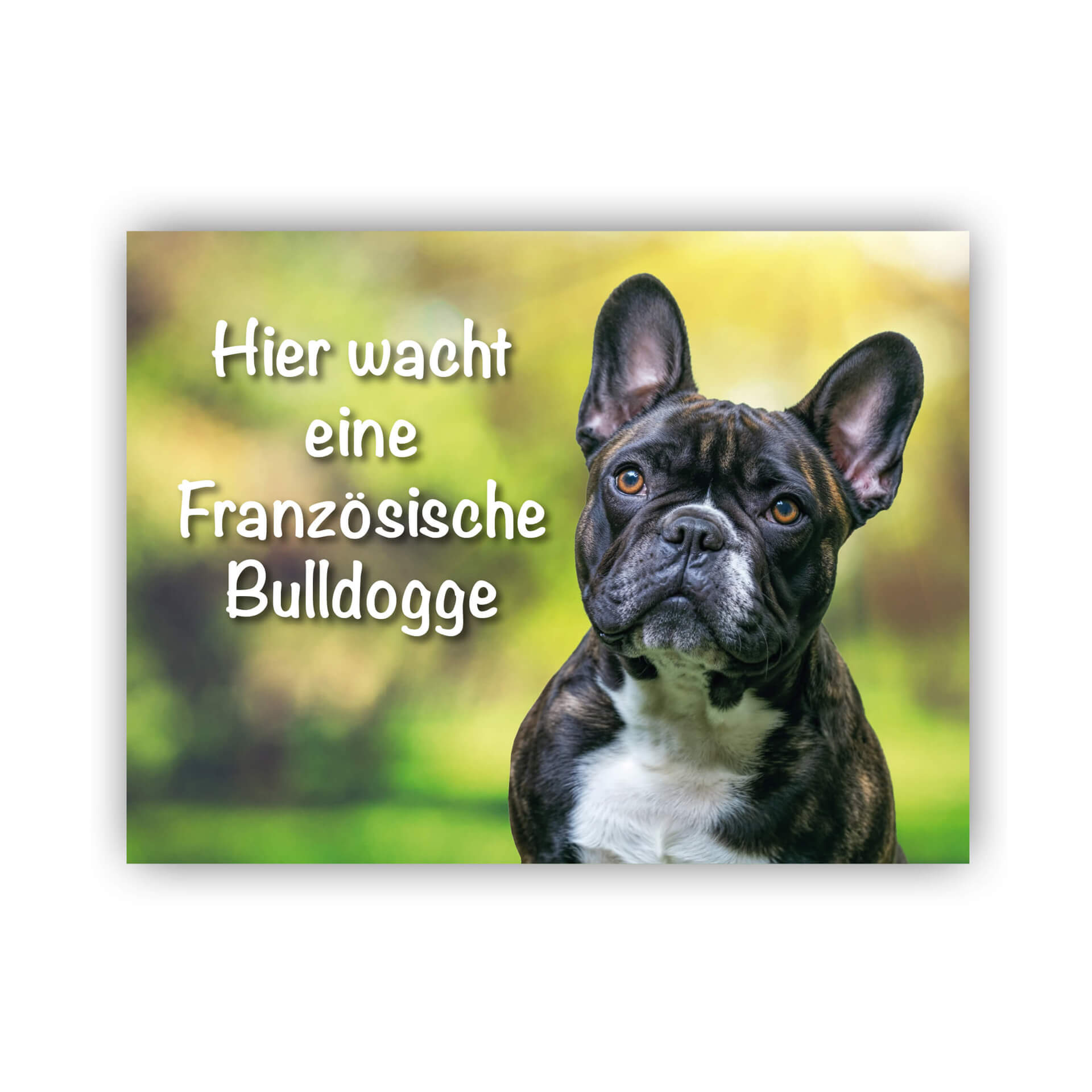 Franzoesische Bulldogge Schild Warnschild 004