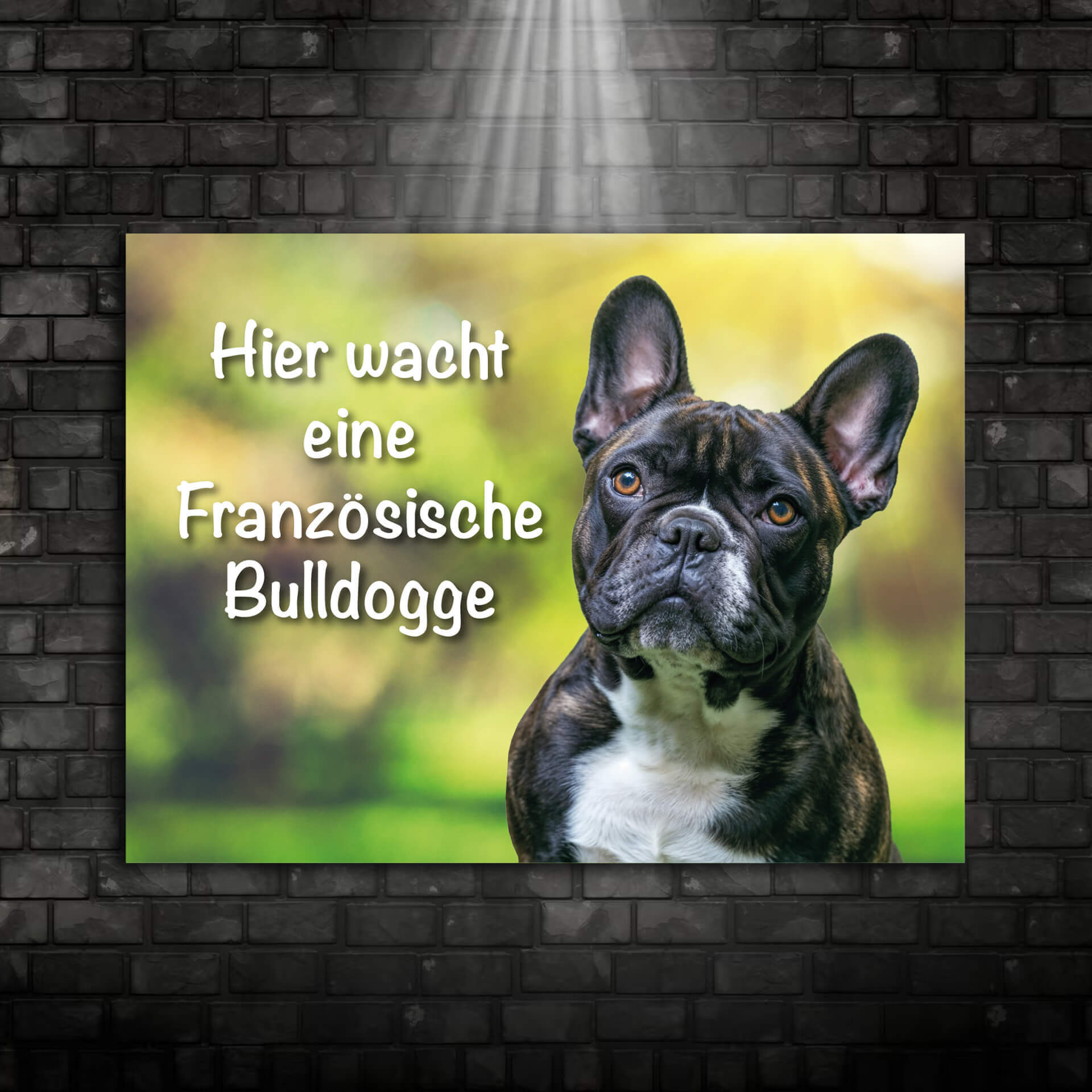 Franzoesische Bulldogge Schild Warnschild 004 Ansicht