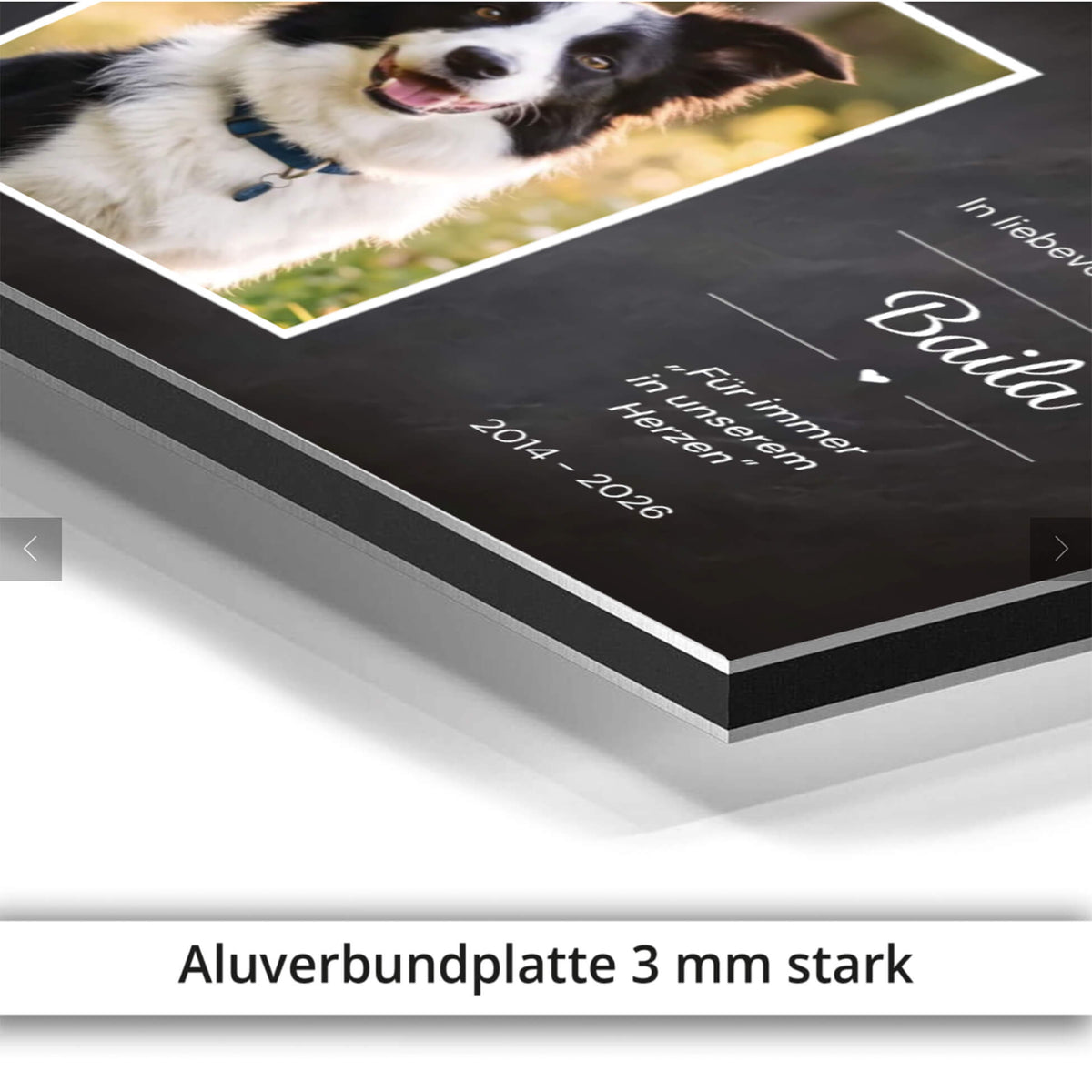 Gedenktafel Hund Aluverbundplatte