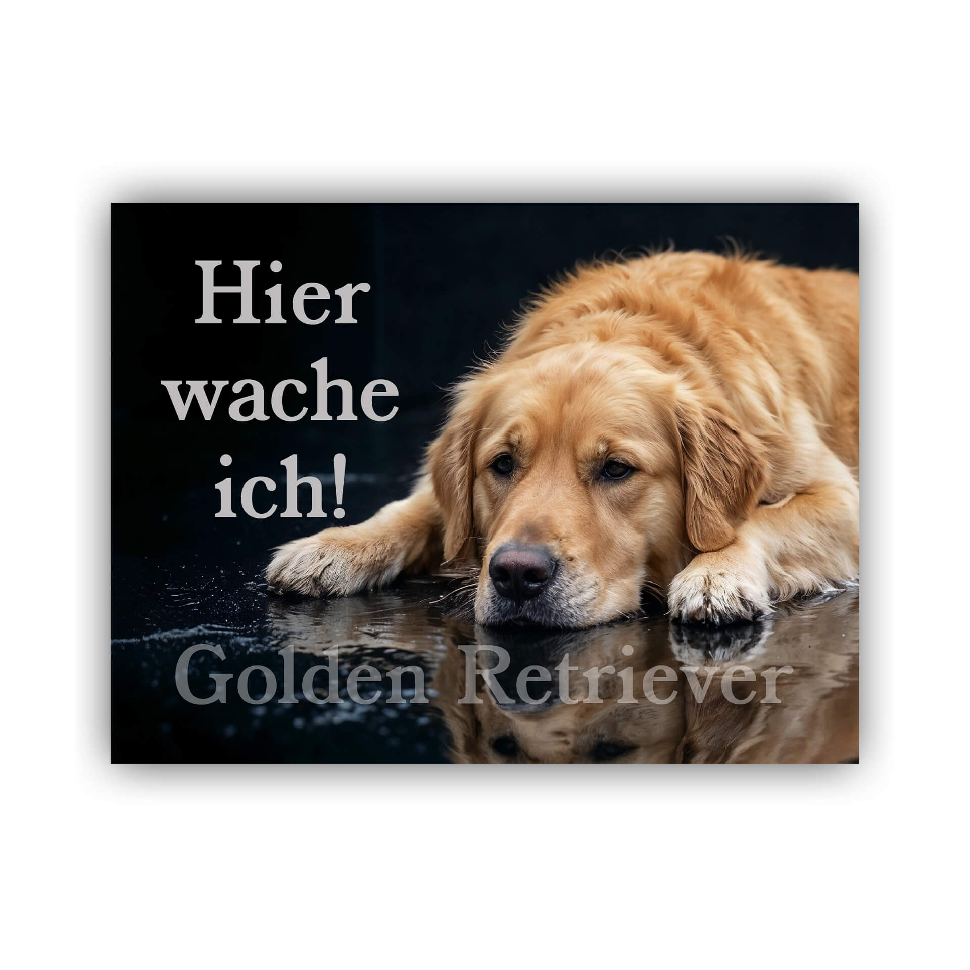 Golden Retriever Hier wache ich Warnschild 001
