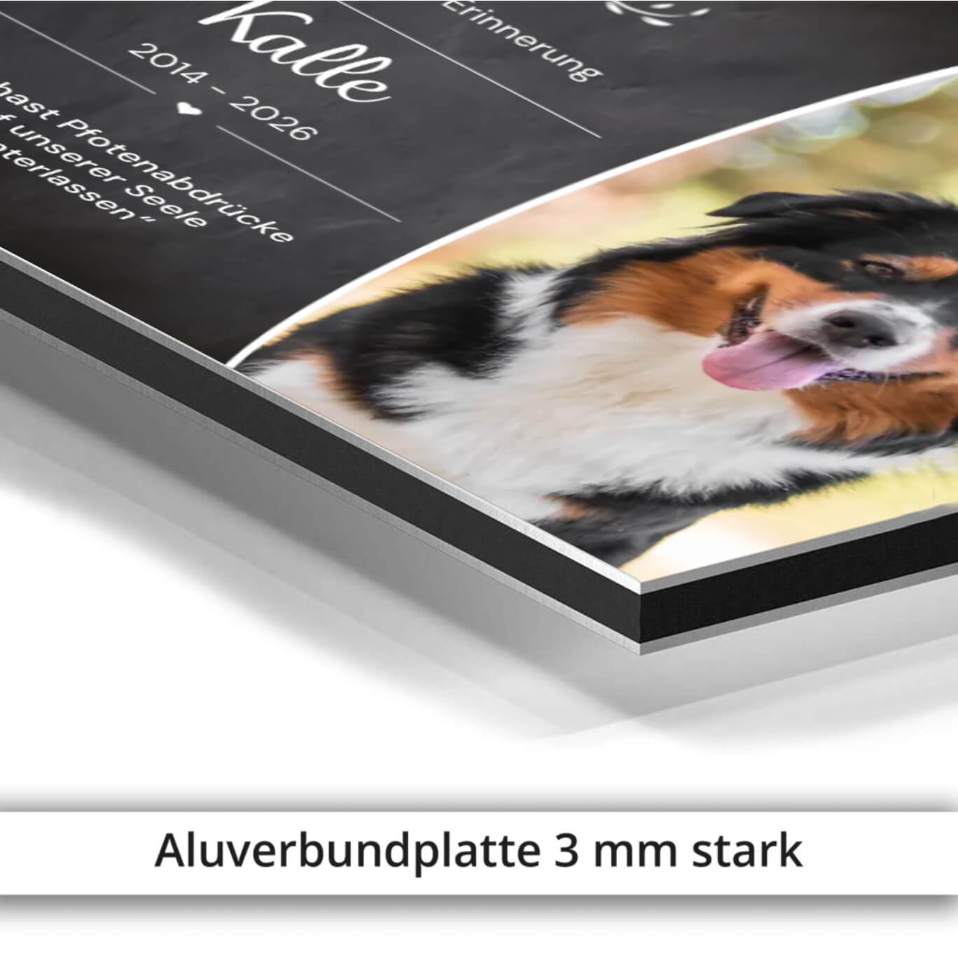 Hunde Erinnerungsschild Aluverbundplatte