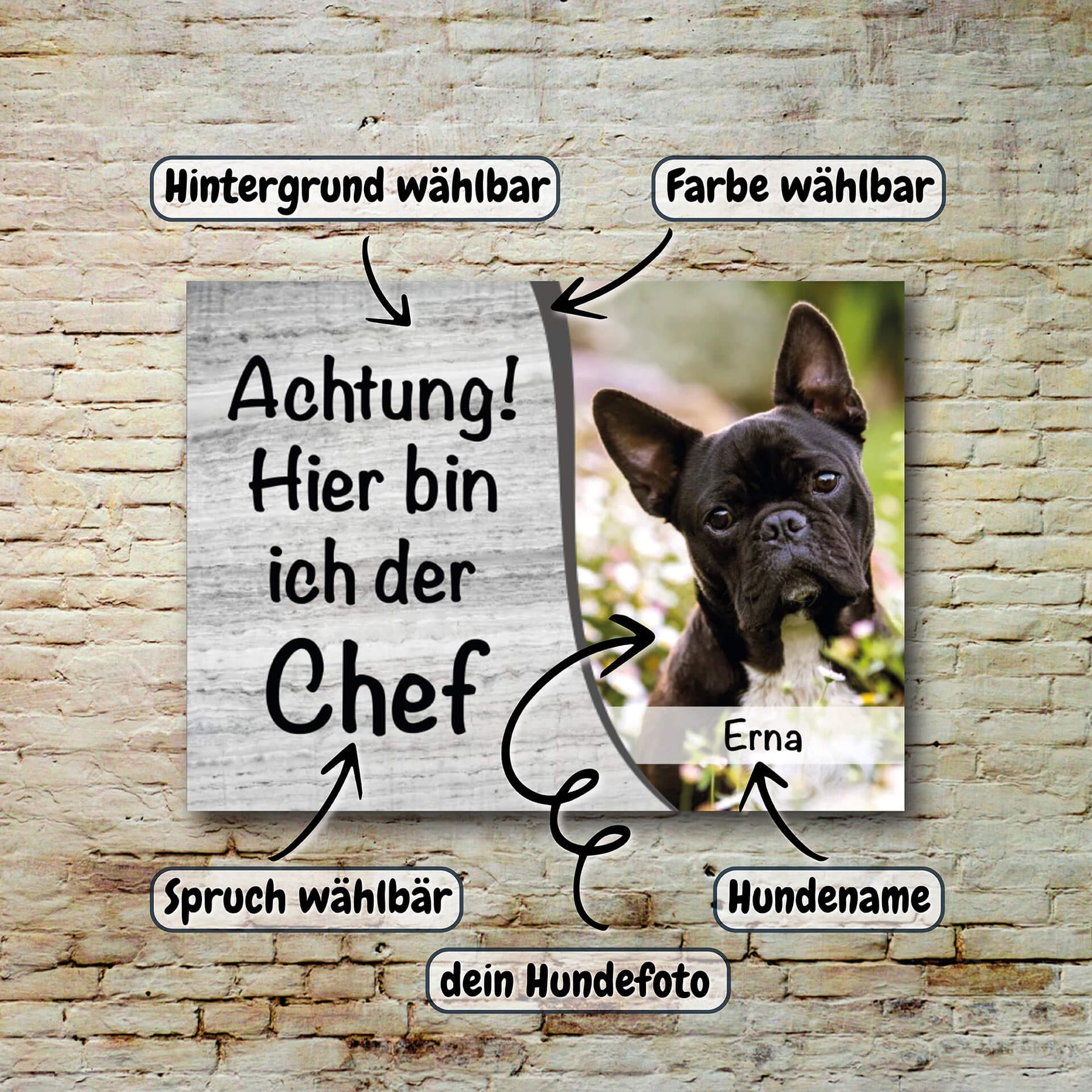 Hundeschild Beschreibung 003