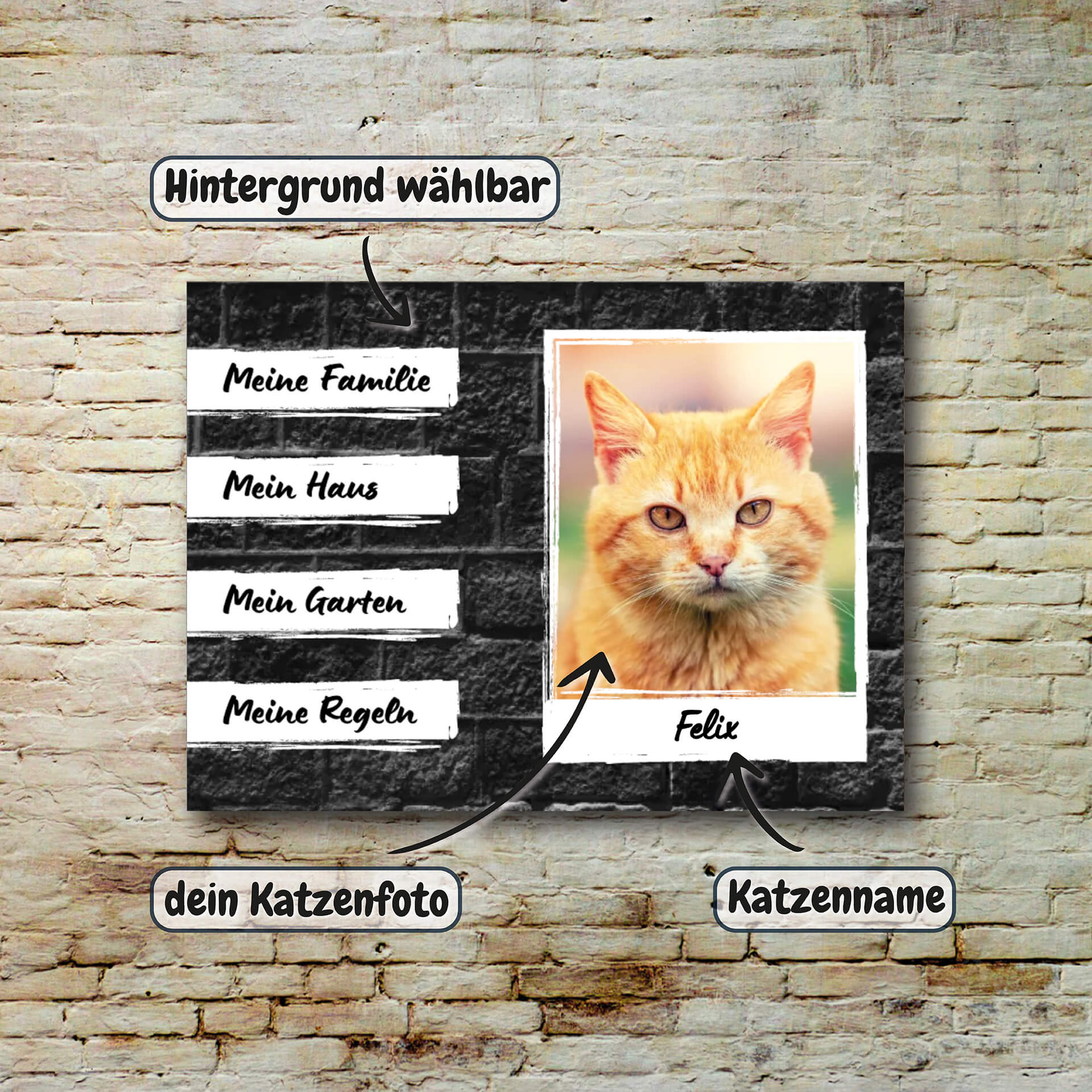 Katzenschild Beschreibung 002