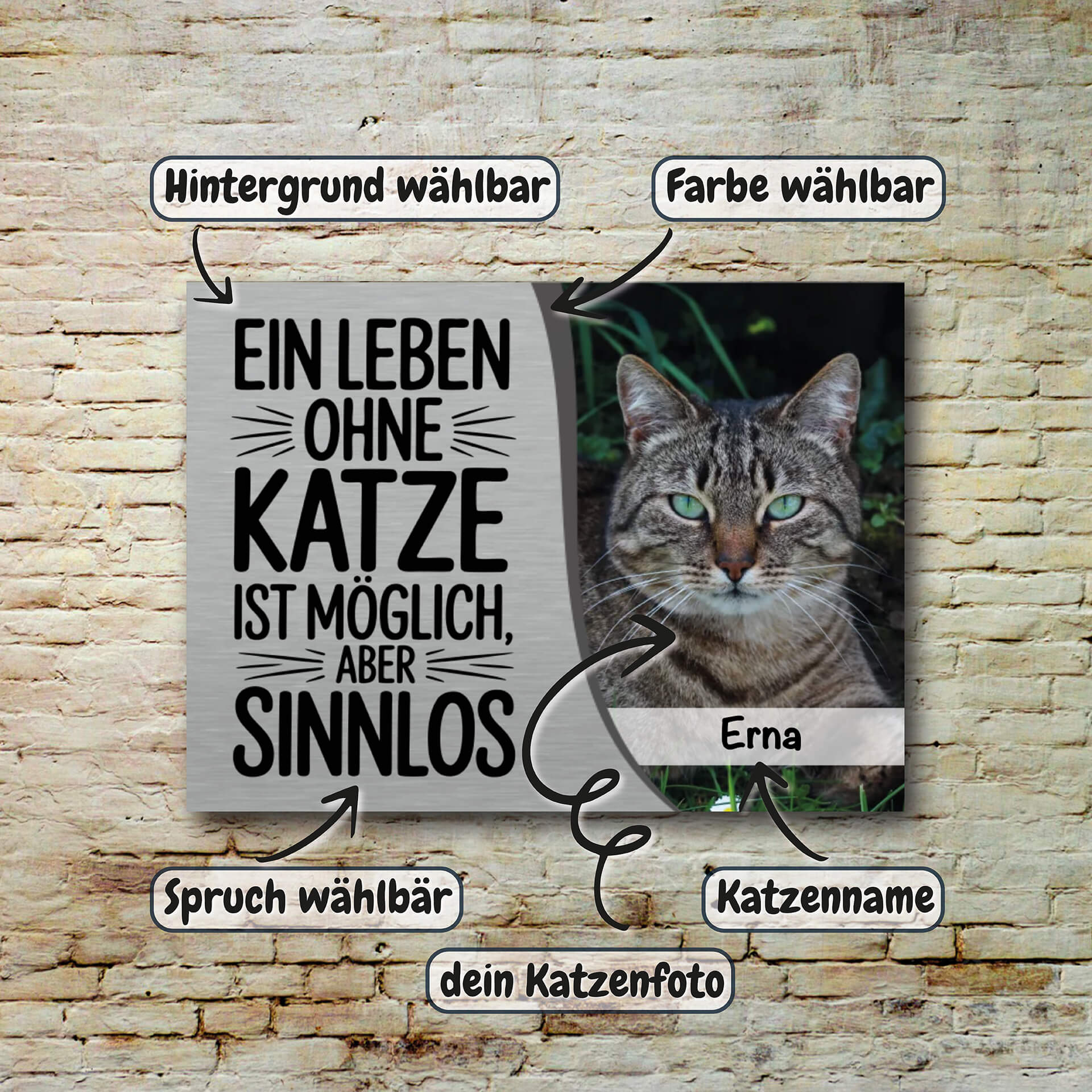 Katzenschild Beschreibung 003