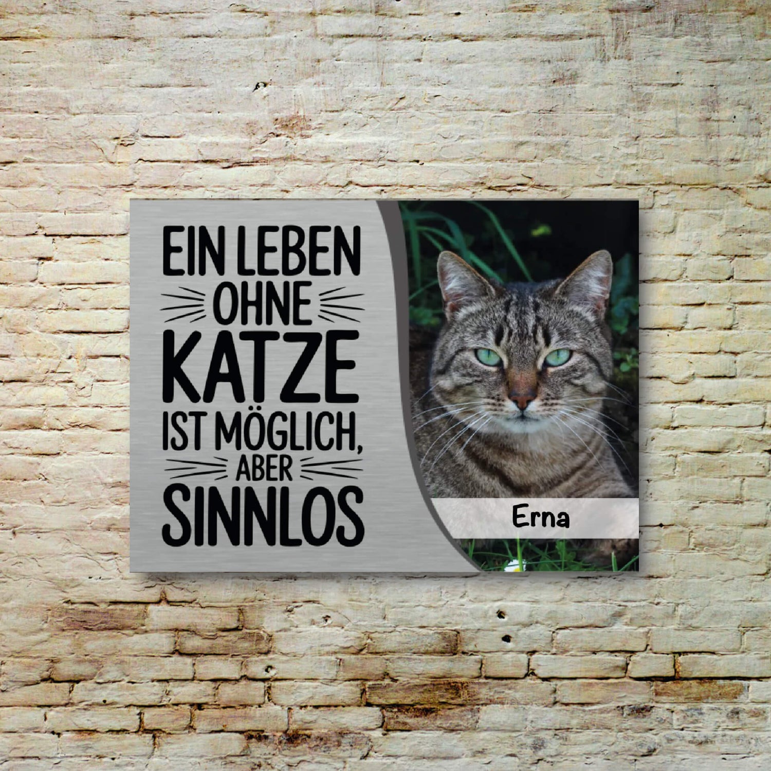Katzenschilder Header Startseite