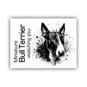 Miniature Bullterrier Schild "002"