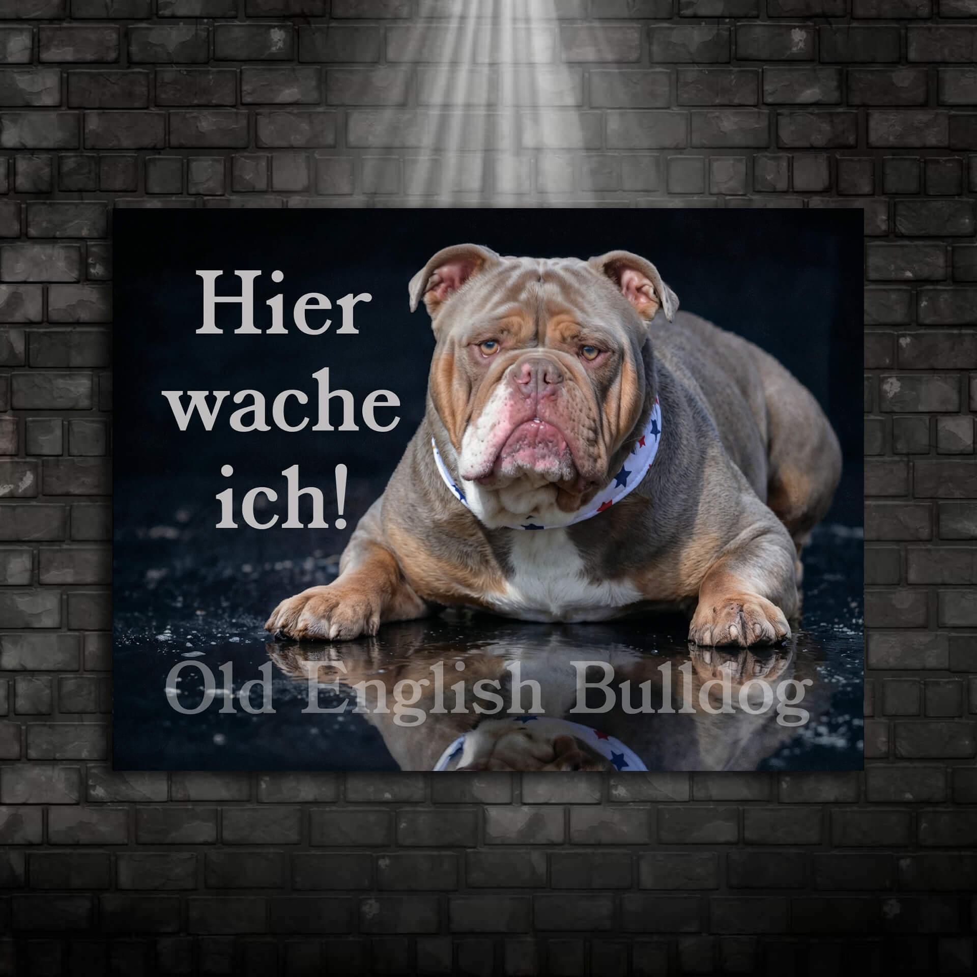 Old English Bulldog Hier wache ich Warnschild Ansicht 009