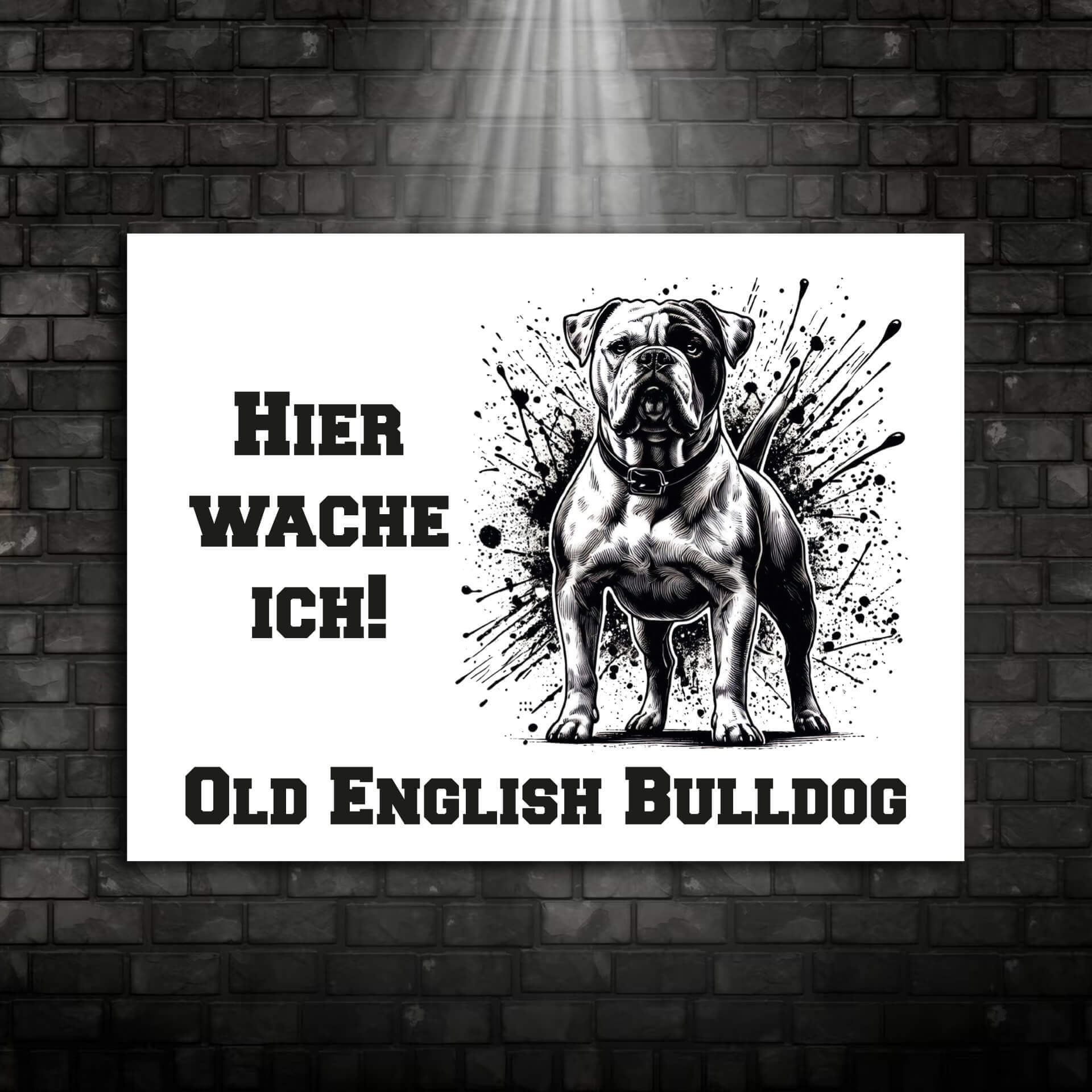Old English Bulldog Schild "001"