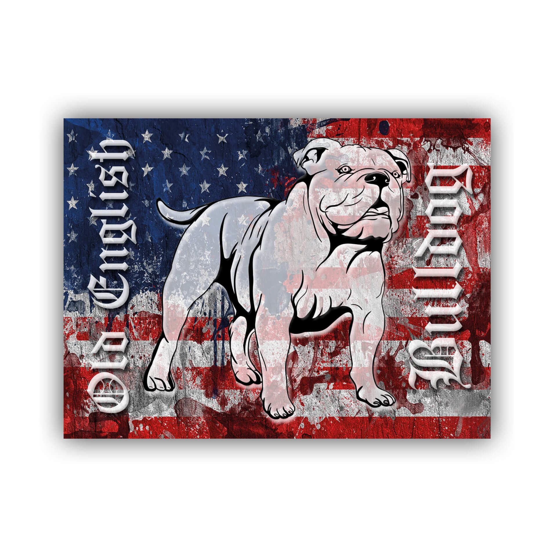 Warnschild „Englische Bulldogge“ – Aluminium, 30,5x20 Cm (A4), 0,5 Mm Stark, Mit Befestigungslöchern