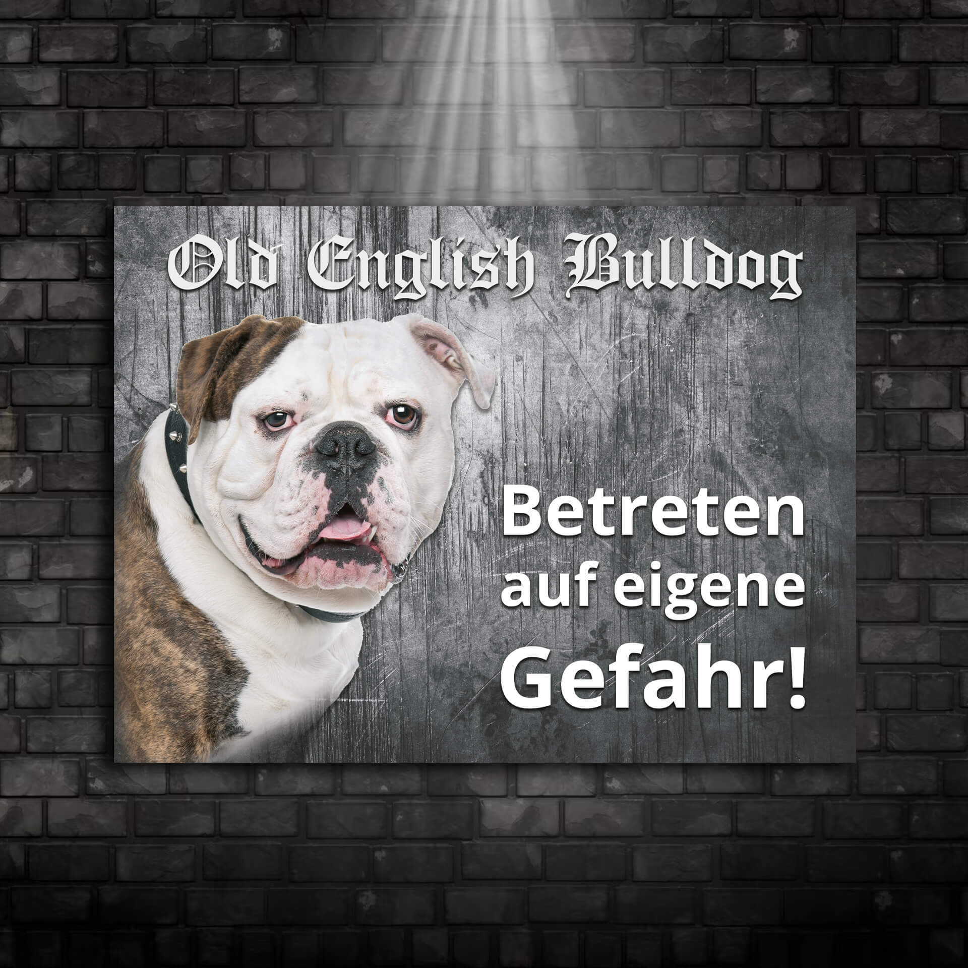 Old English Bulldog Schild "006"