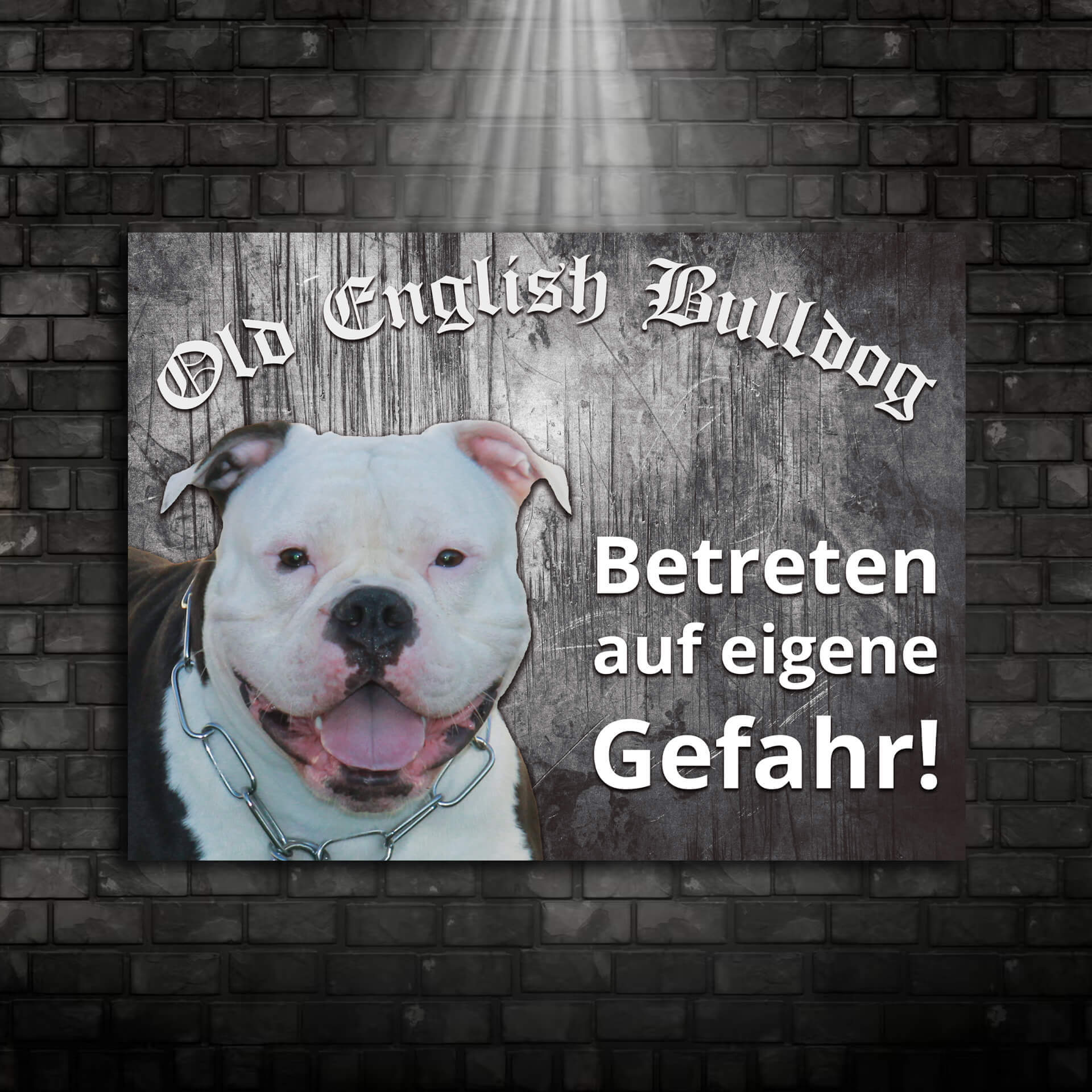 Old English Bulldog Schild "007"