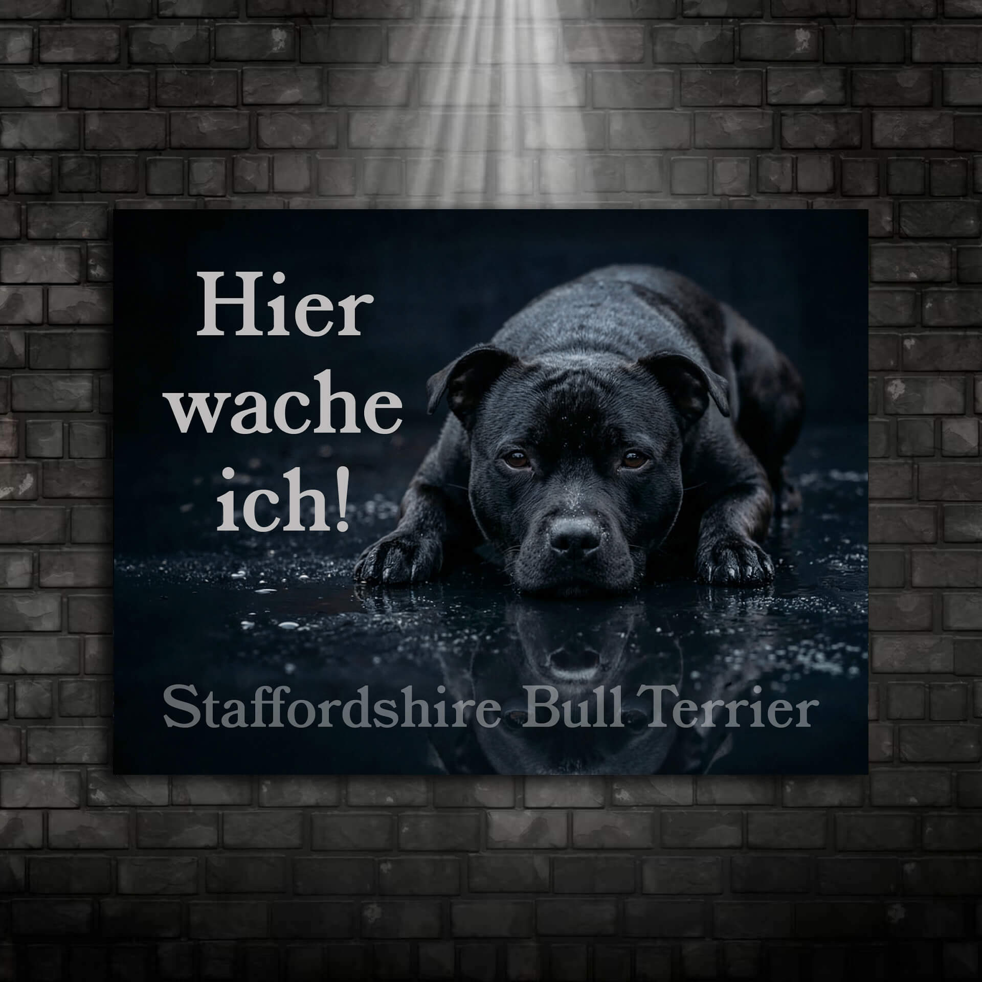 Staffordshire Bullterrier Warnschild Hier wache ich 008 Ansicht