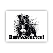 Staffordshire Bullterrier Schild Warnschild 001