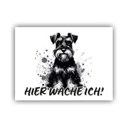 Zwergschnauzer Schild "001"