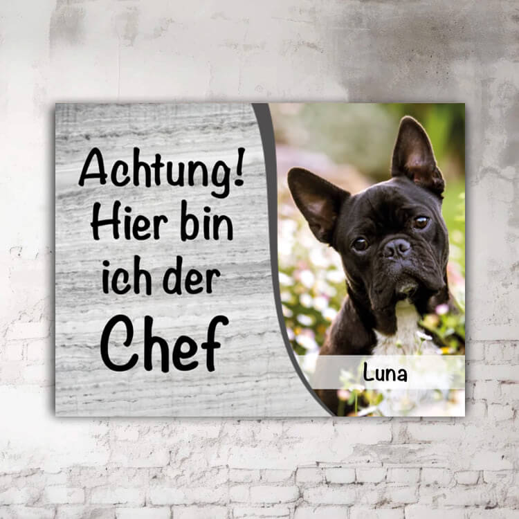 hundeschild foto name schilderspruch beschreibung