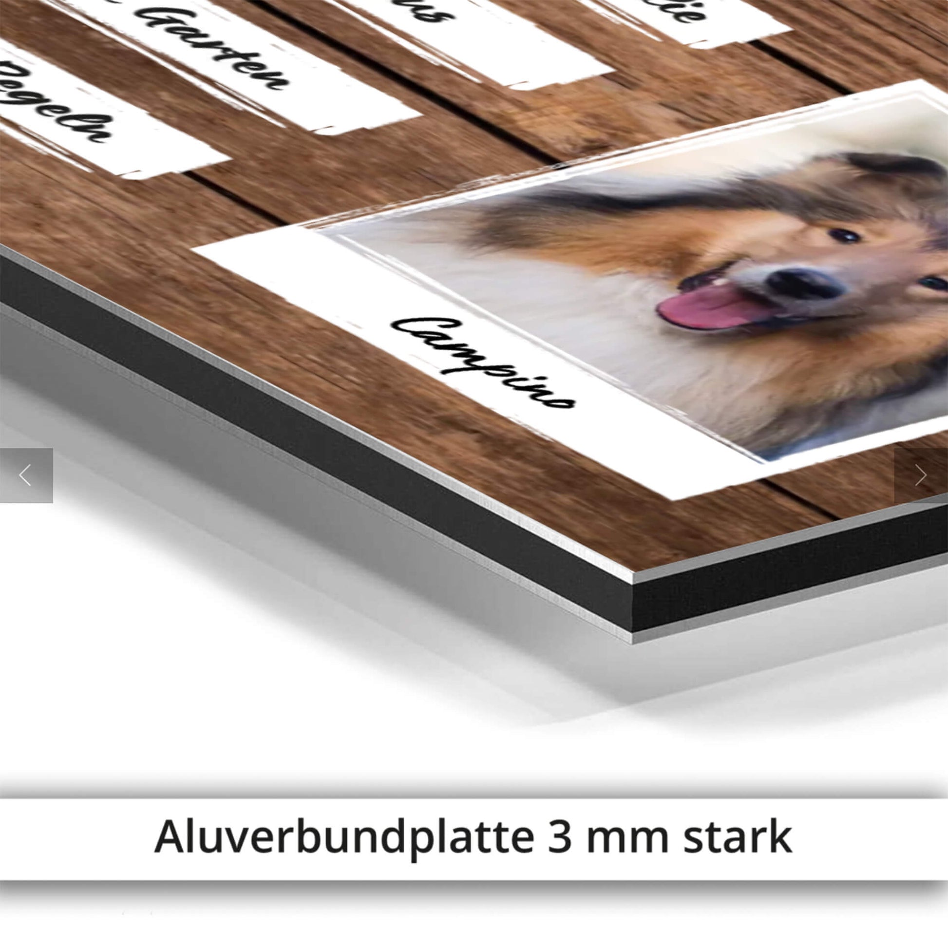 hundeschild mit foto namen material aluverbundplatte