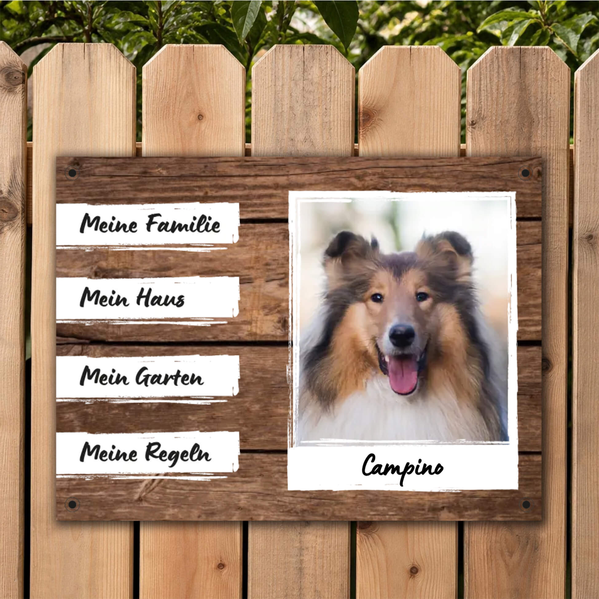 hundeschild mit foto namen montage gartenzaun