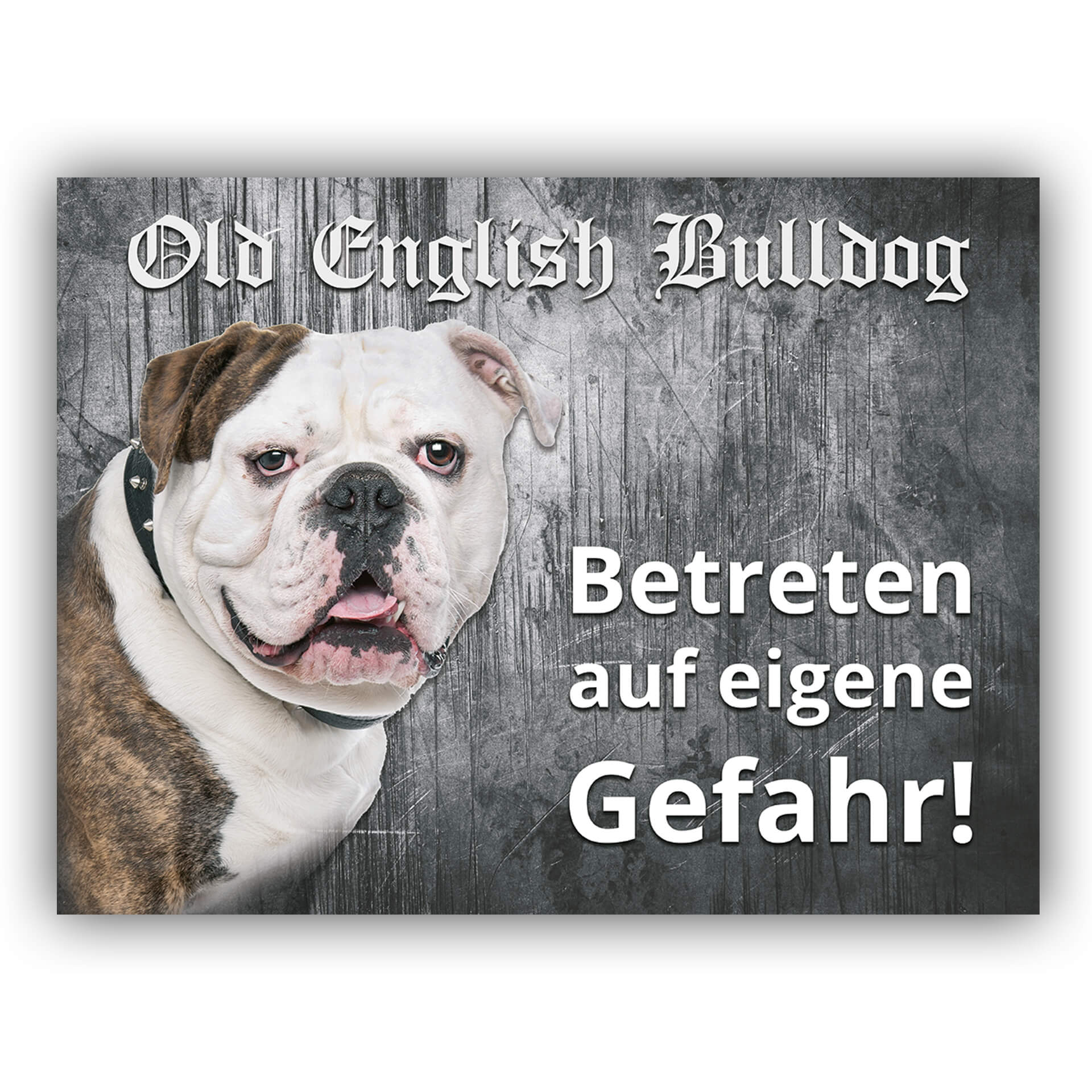 Old English Bulldog Schild Grunge
