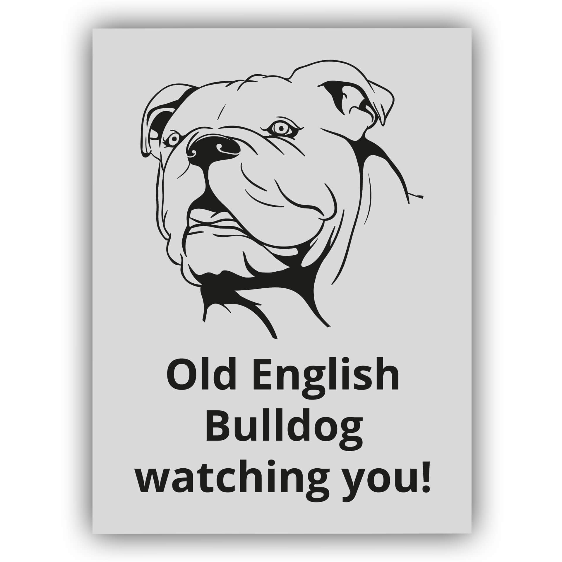 Old English Bulldog Schild Watching