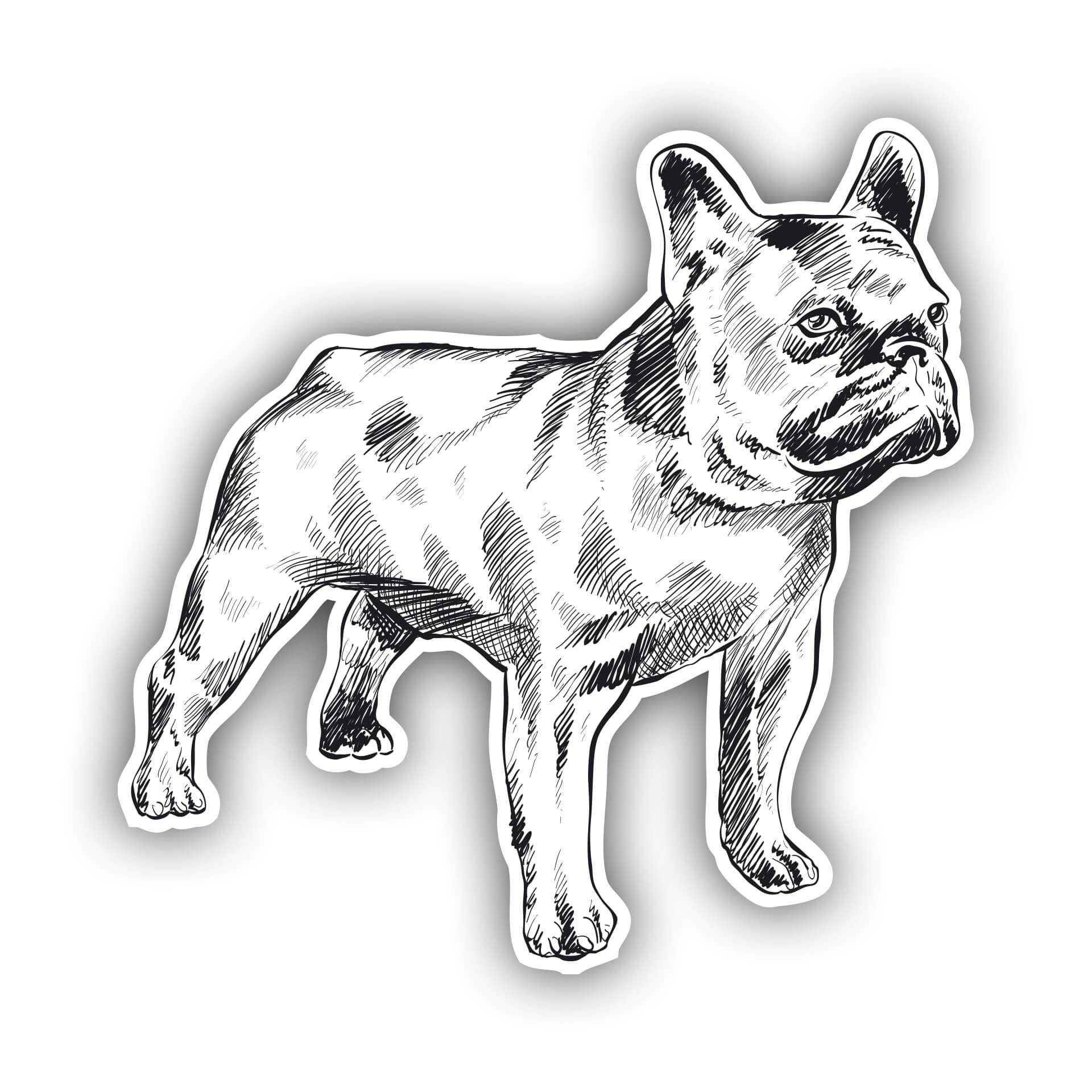 French Bulldog Aufkleber Skizze